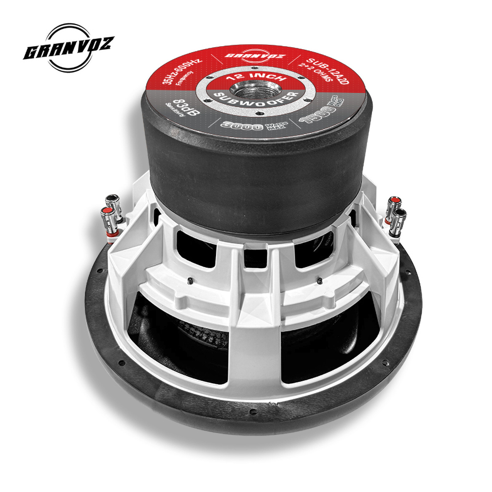 12 Inch Car Sub Woofer 3
